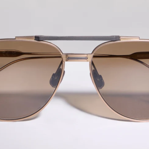 Aviator titanium sunglasses